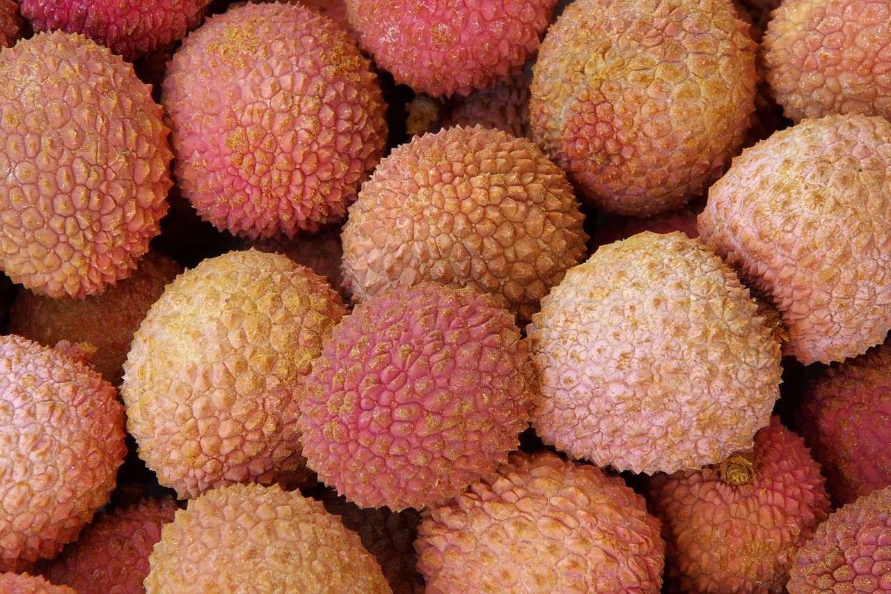 Lychee puzzle online