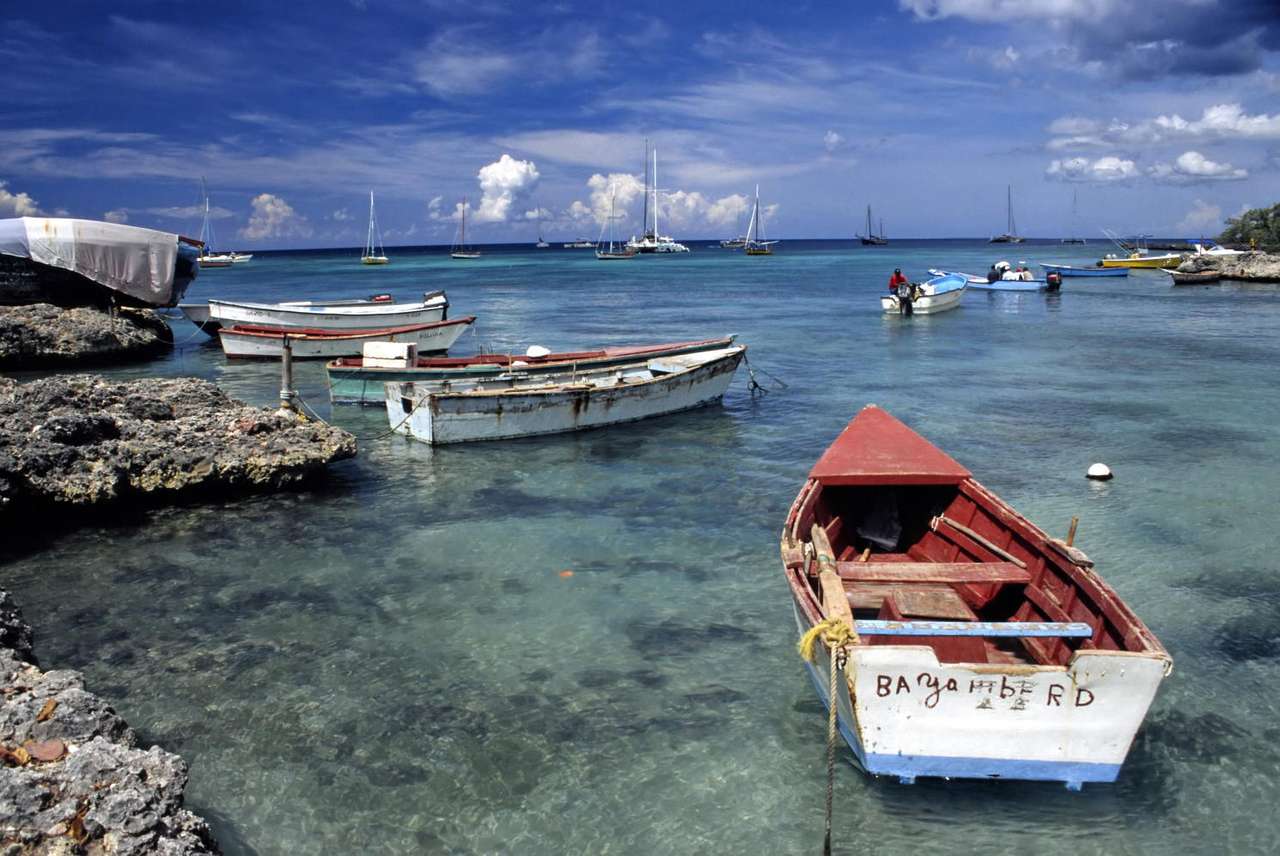 Küste in der Nähe von Bayahibe (Dominikanische Republik) Online-Puzzle