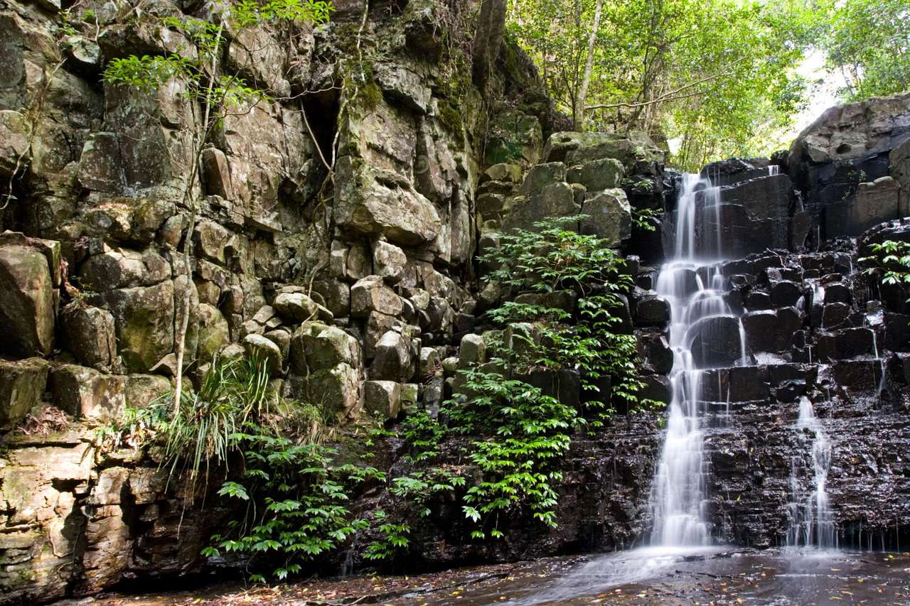 Cataratas en Barrington Tops Park (Australia) rompecabezas en línea