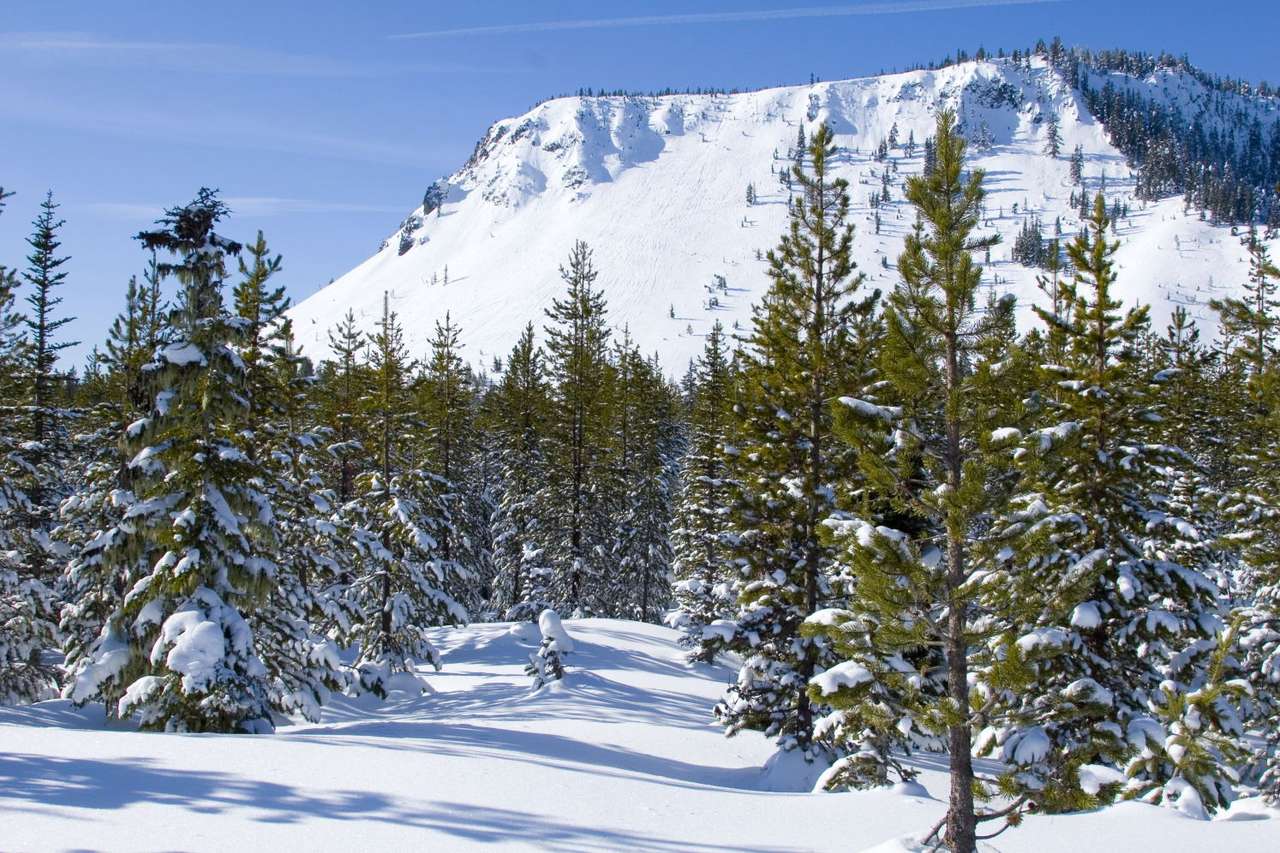 Χειμώνας στα βουνά Cascade (ΗΠΑ) παζλ online από φωτογραφία