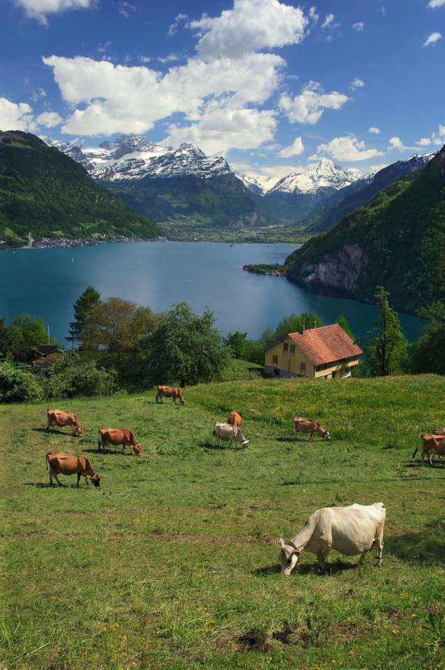 Lago Lucerna (Suíça) puzzle online