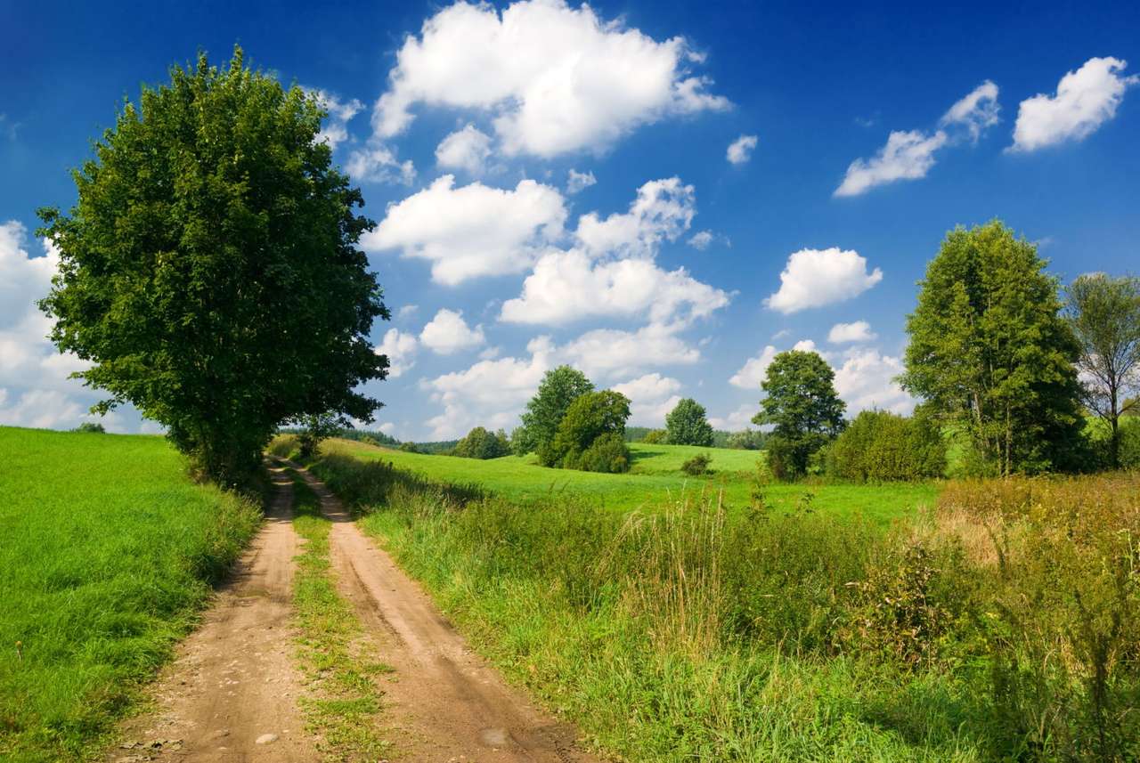 Dirt Road in Masuria (Poland) puzzle online from photo