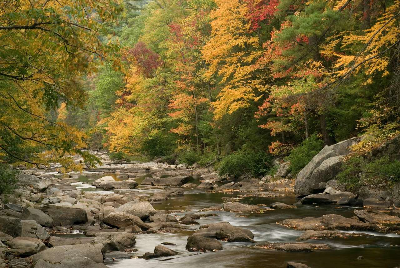 Bald River (Estados Unidos) rompecabezas en línea