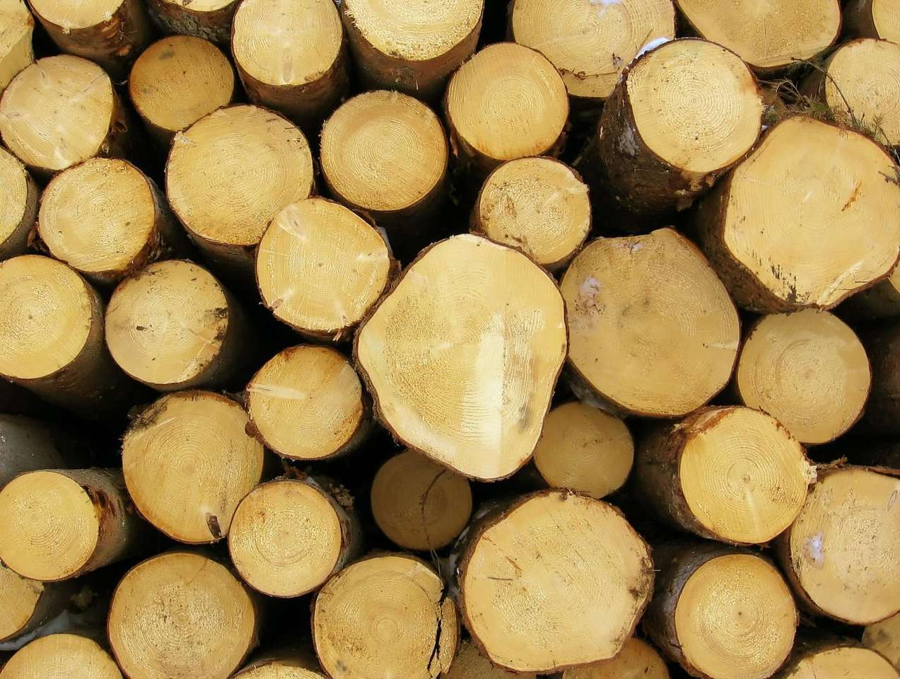 Wooden logs online puzzle
