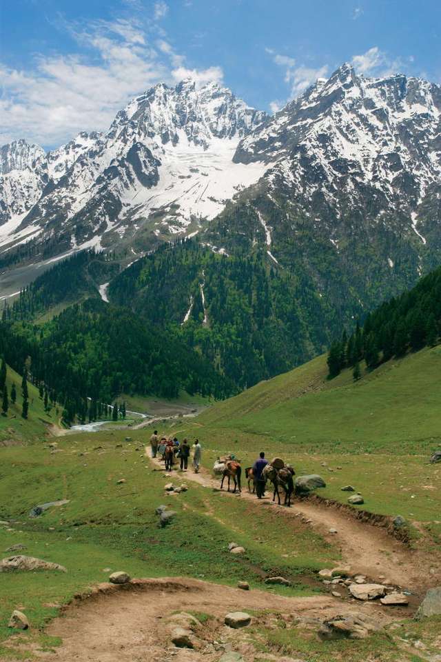 Path towards the Himalayas in Kashmir puzzle online from photo
