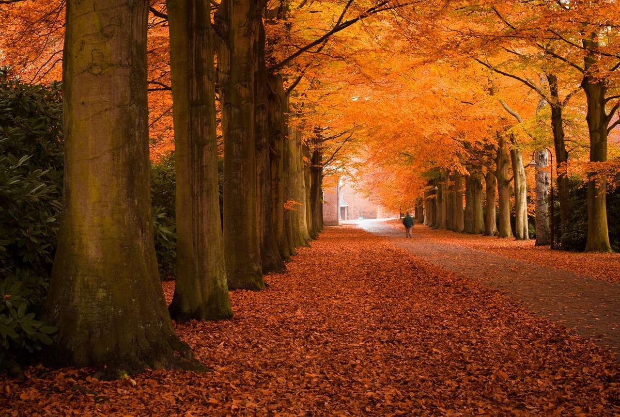 Есенна алея онлайн пъзел