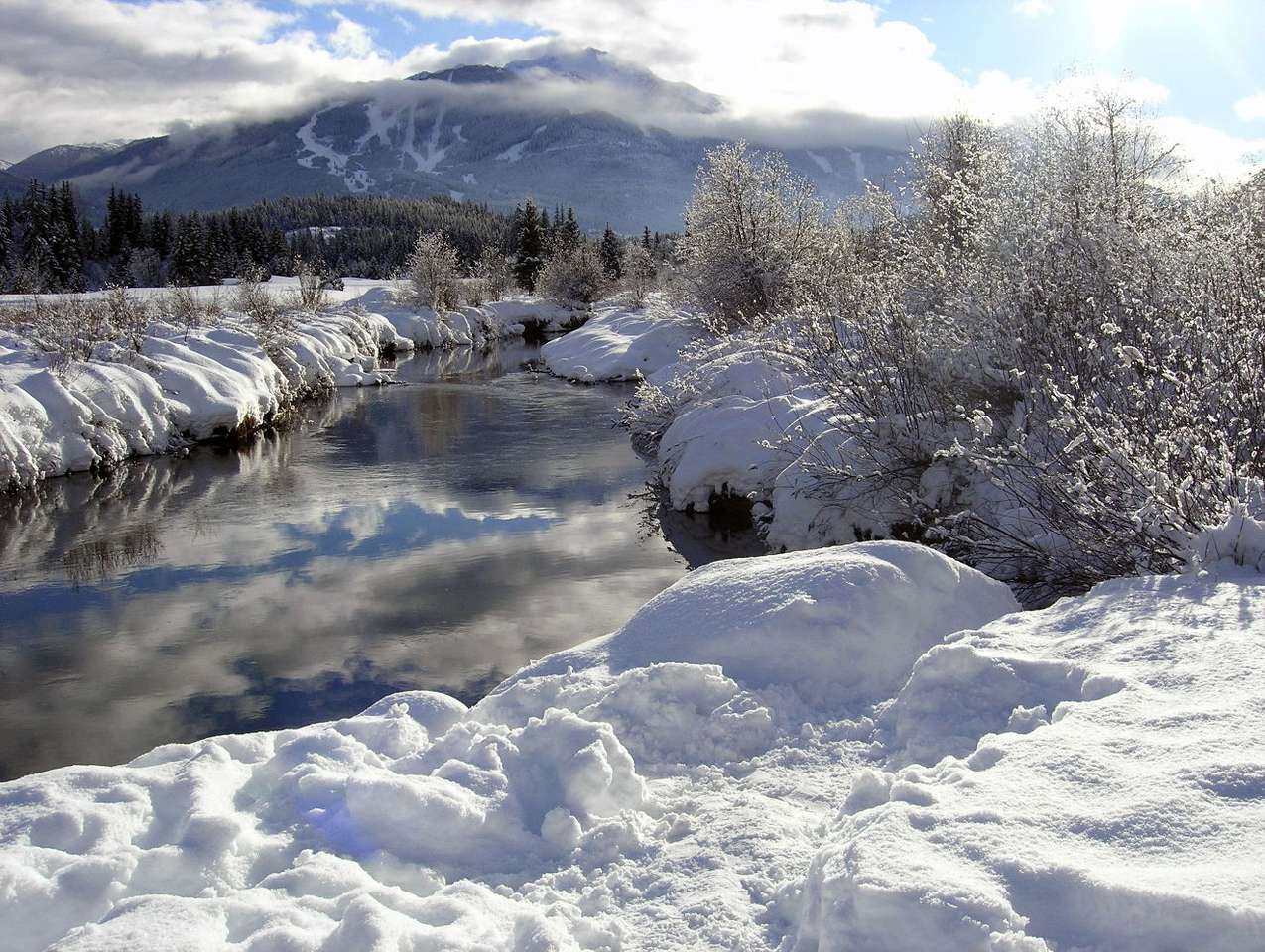 Winter in British Columbia (Canada) online puzzel