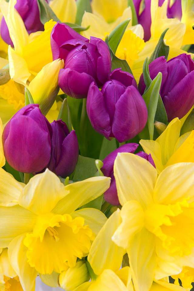 Пролетни цветя онлайн пъзел от снимка
