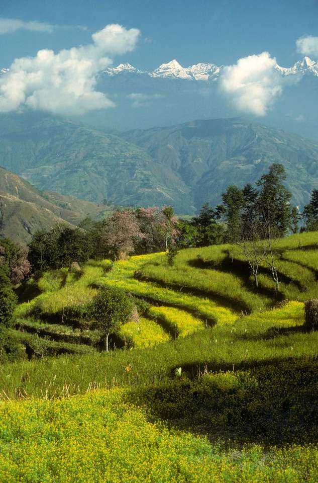 Terrasserat jordbruk i regionen Helambu (Nepal) Pussel online