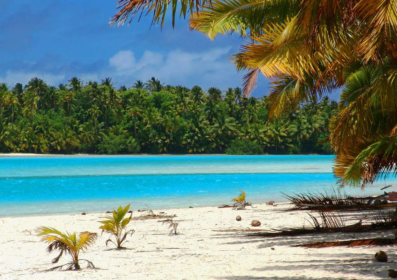 Tropical Beach (The Cook Islands) puzzle online from photo