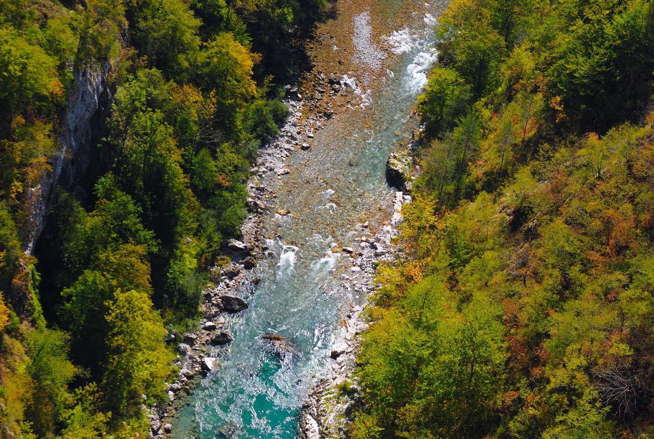 Ποταμός Τάρα (Μαυροβούνιο) παζλ online από φωτογραφία