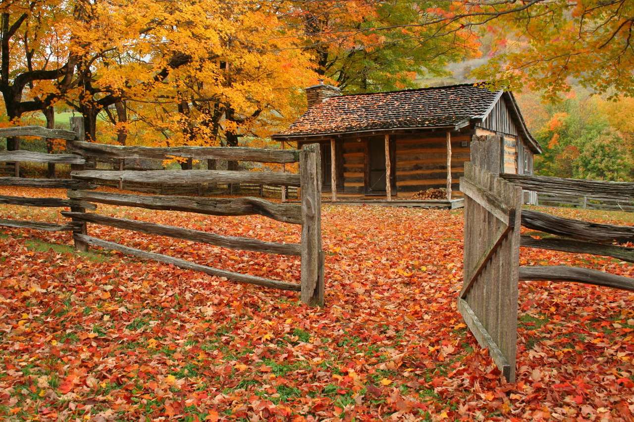 Old cabin during fall puzzle online from photo