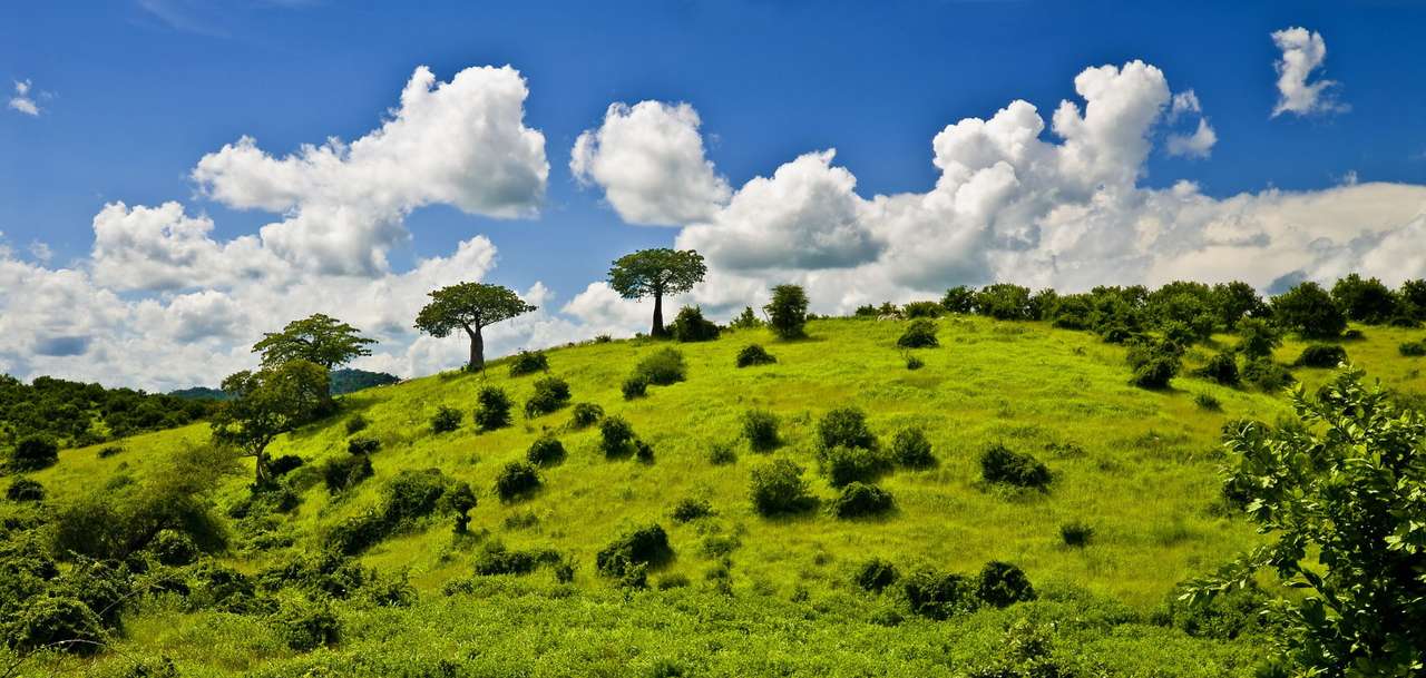 Пейзаж на Танзания онлайн пъзел от снимка