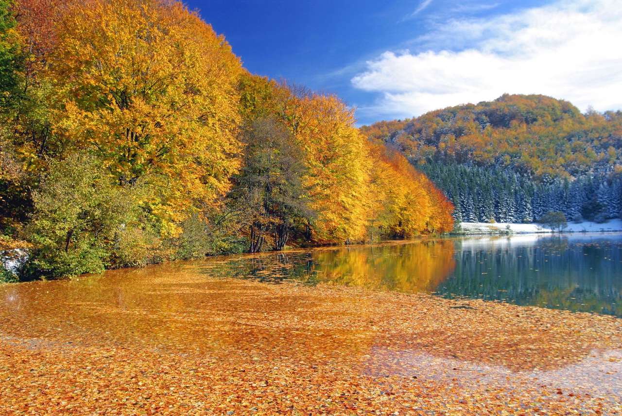 Φθινόπωρο στα Βαλκανικά Όρη (Βοσνία-Ερζεγοβίνη) παζλ online από φωτογραφία