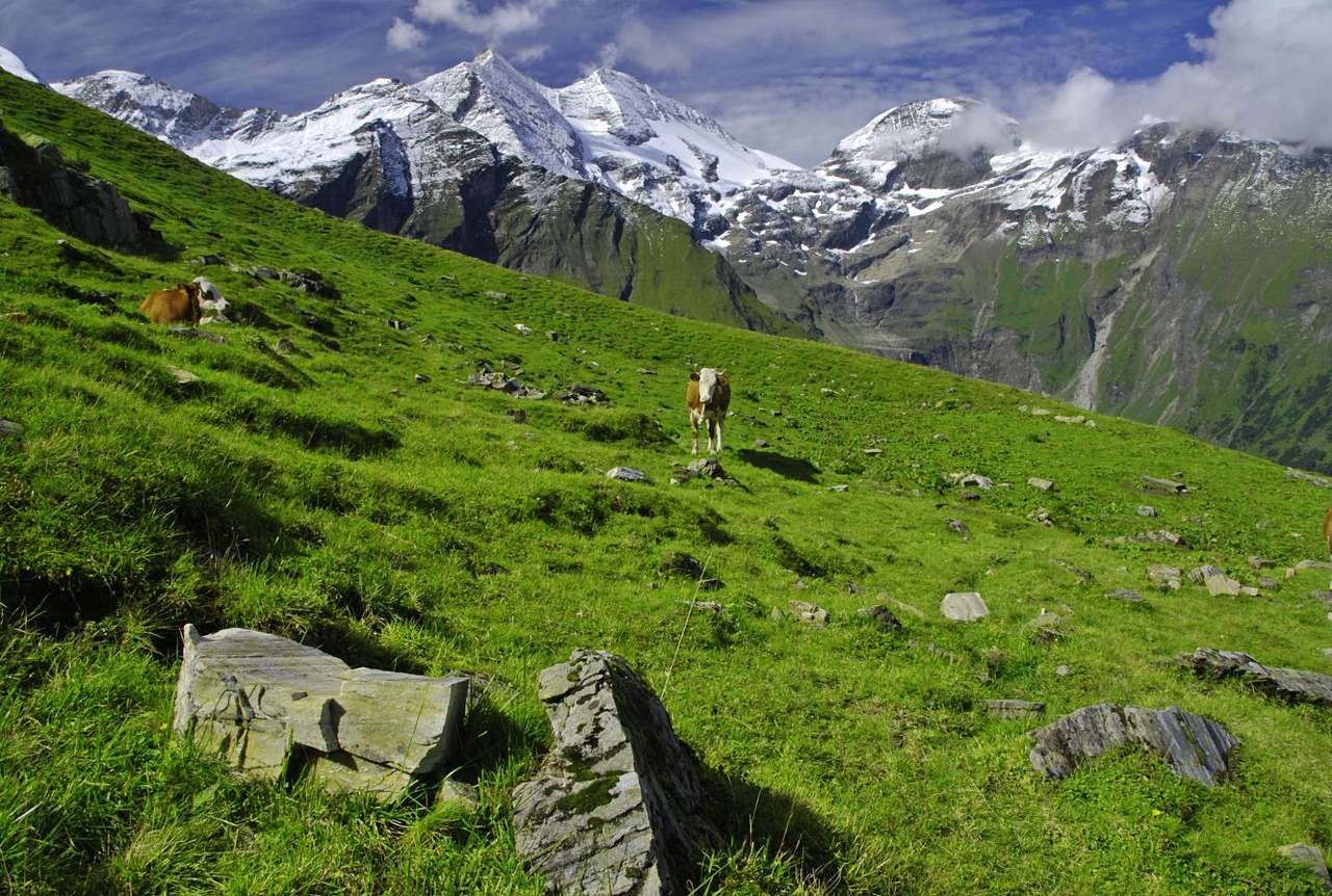 Bergweide in Alpen online puzzel