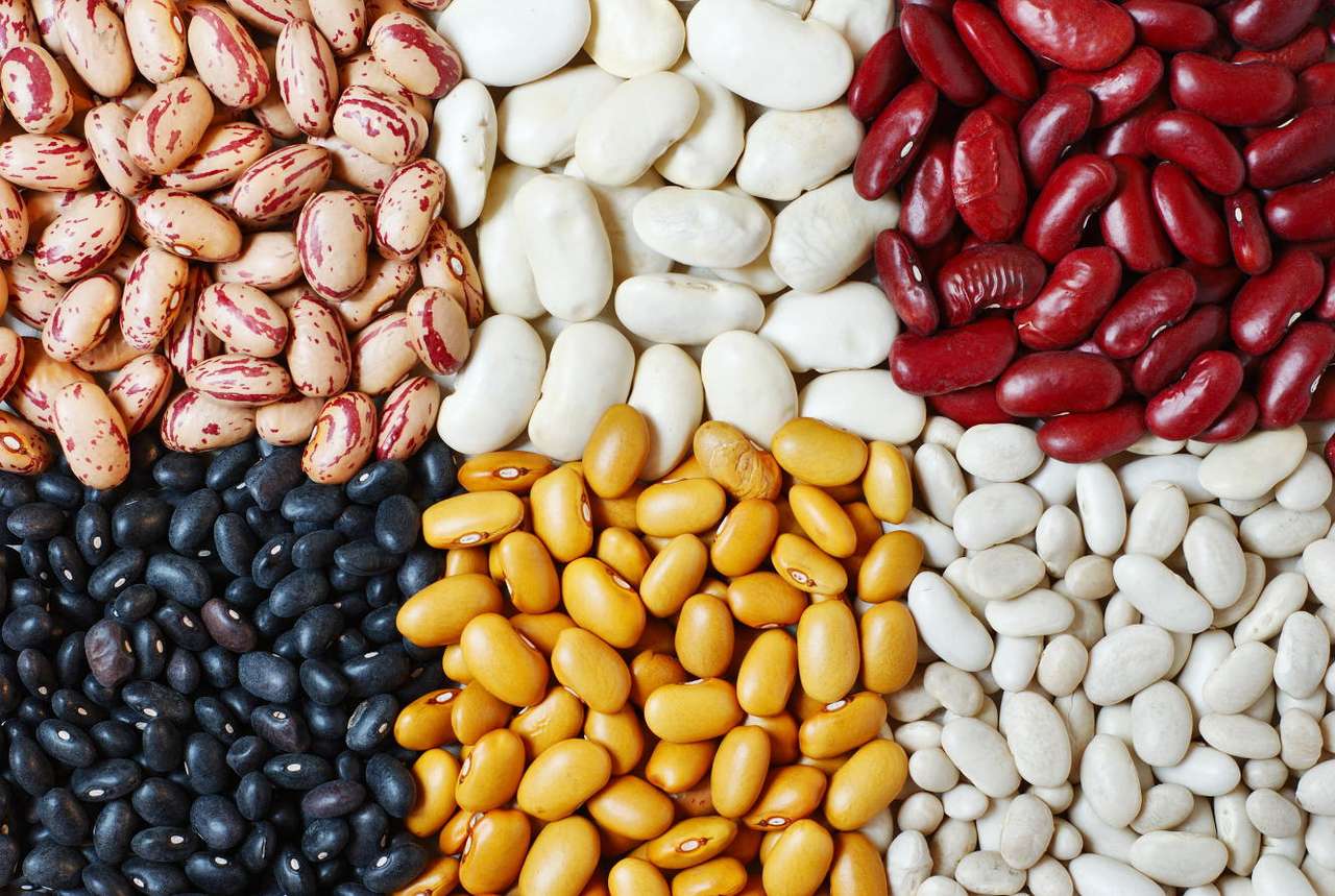 Bean grains online puzzle