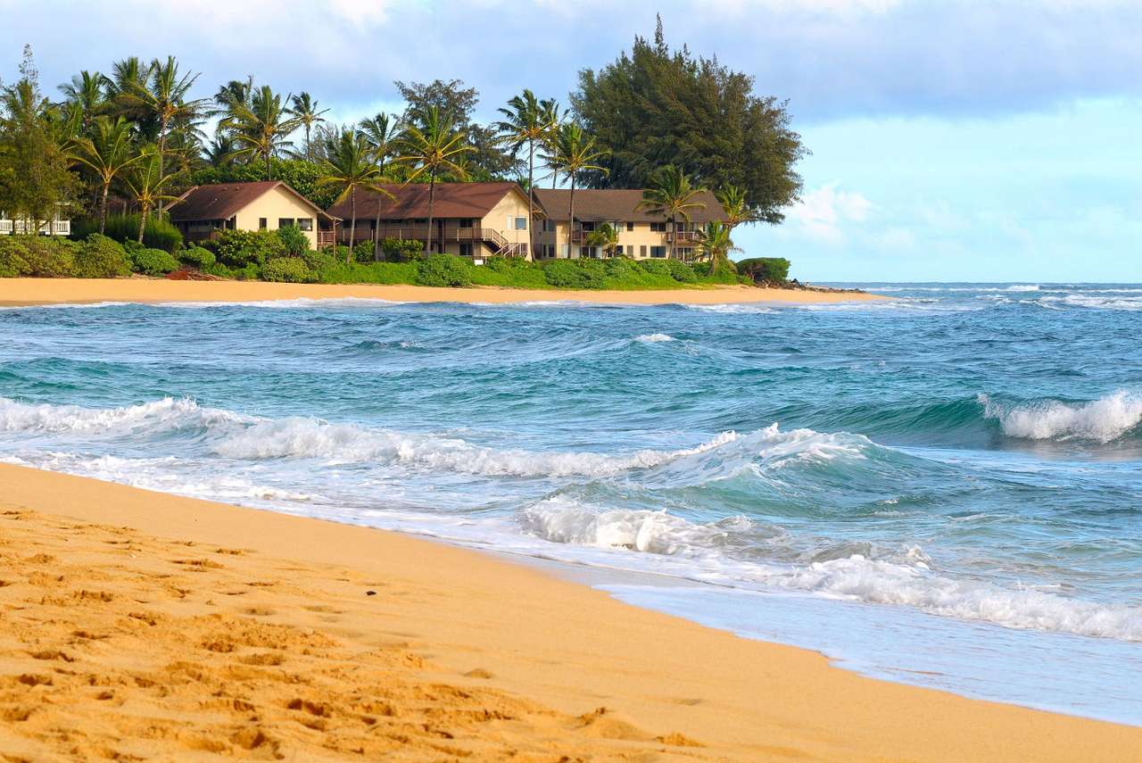 Παραλία στην ακτή Kauai (ΗΠΑ) online παζλ