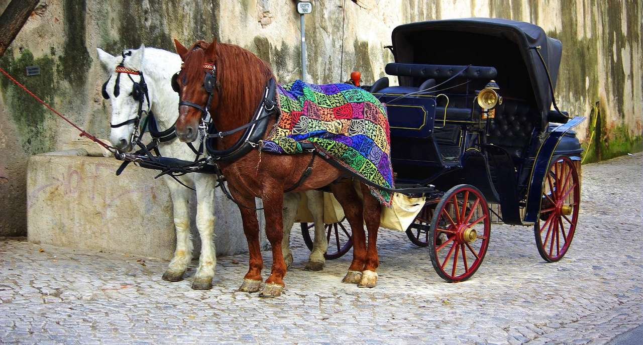 Two-horse carriage puzzle online from photo