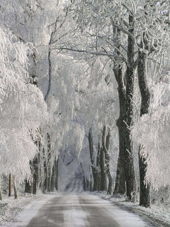 Road covered by snow puzzle online from photo