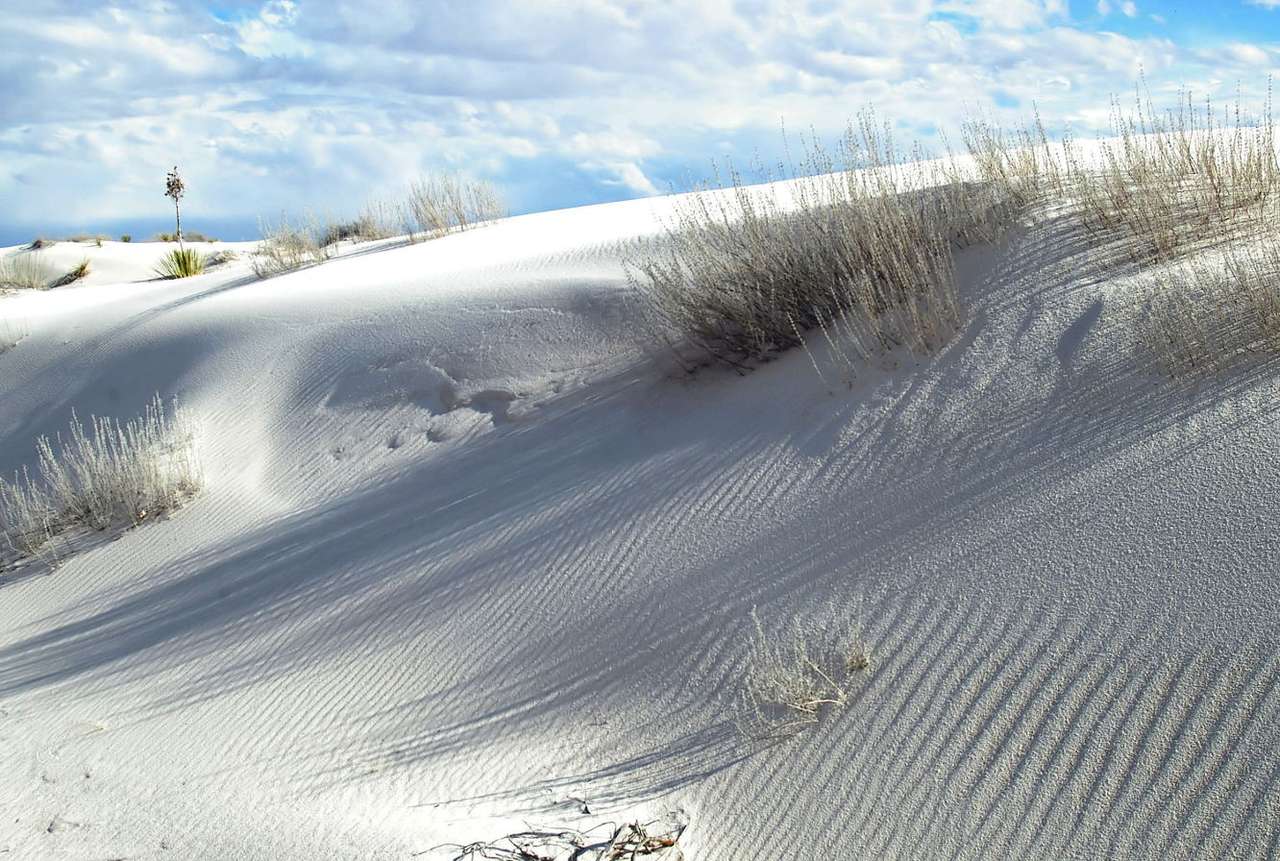 Fehér homok nemzeti emlékmű (USA) online puzzle