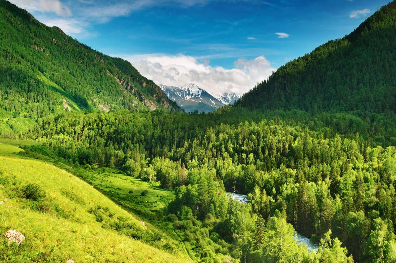 Vale nas montanhas Altai (Rússia) puzzle online a partir de fotografia