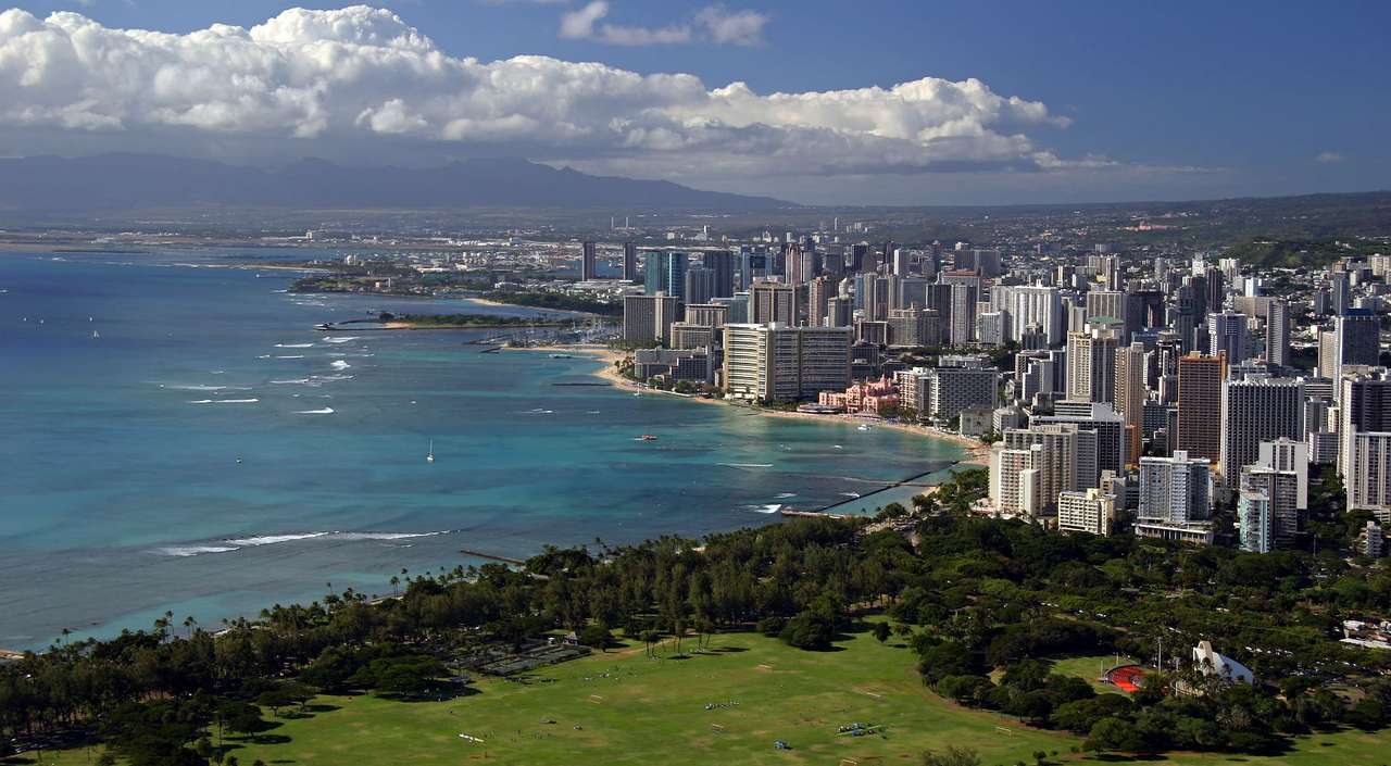 View from Diamond Head crater (USA) online puzzle