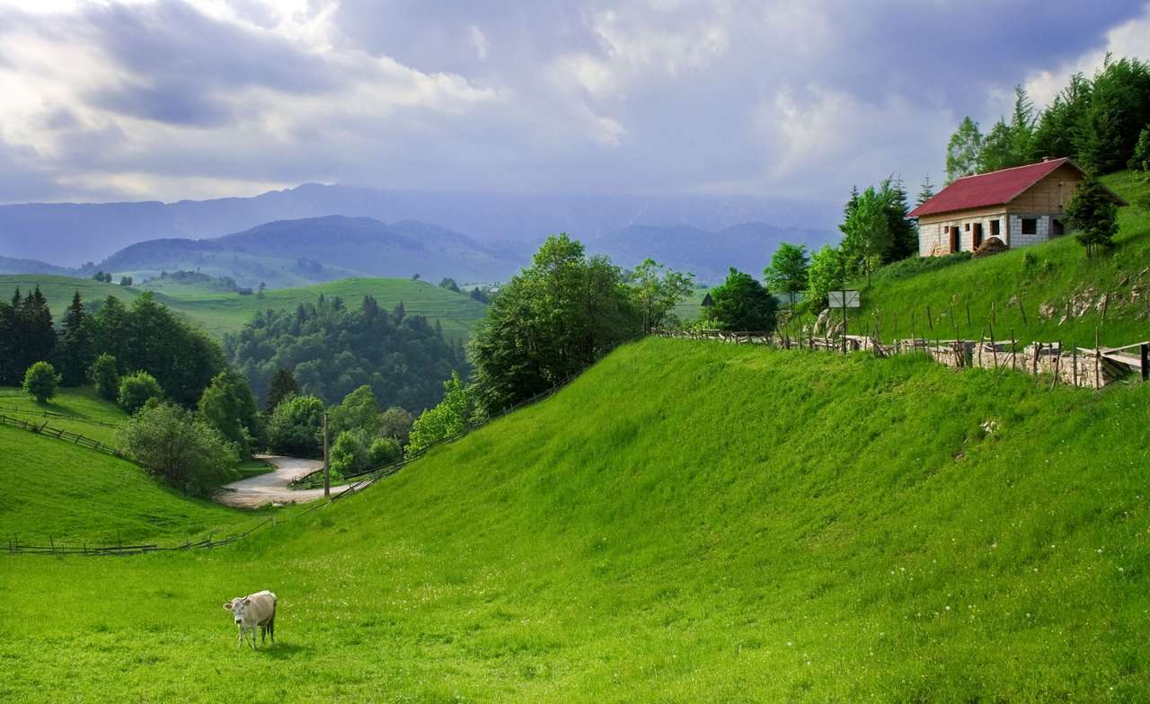 Panorama da zona rural da Romênia puzzle online a partir de fotografia