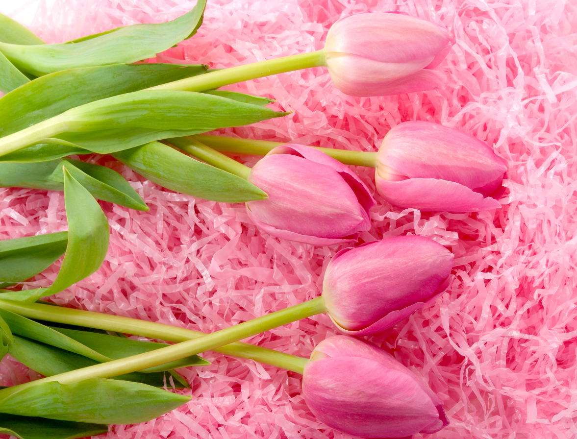 Pink tulips online puzzle