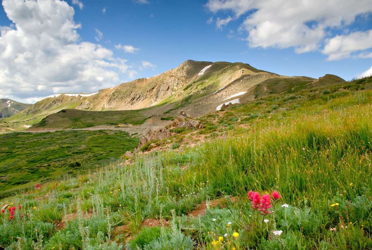 Green meadow in Loveland Pass (USA) puzzle online from photo