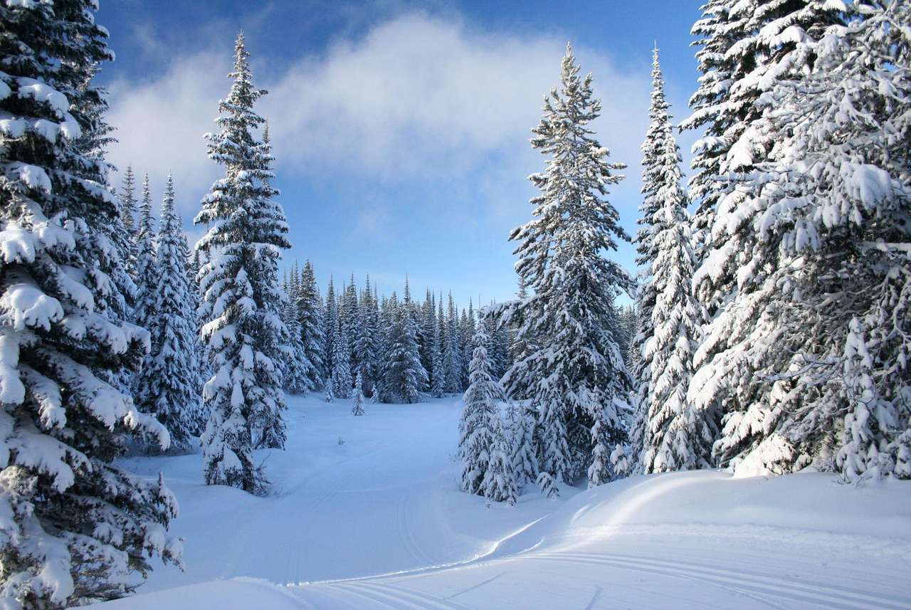 Road among snow-covered spruces online puzzle