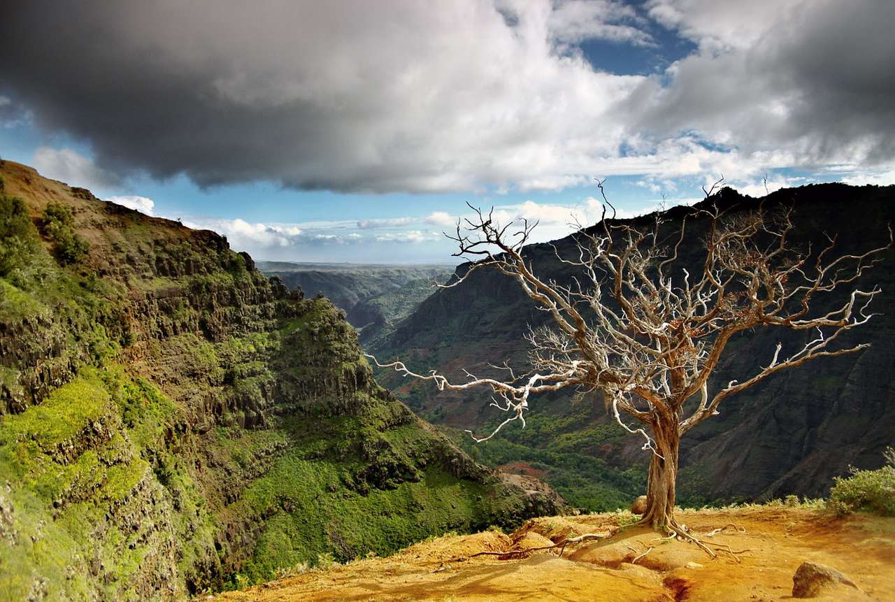 Waimea Canyon στα νησιά της Χαβάης (ΗΠΑ) online παζλ