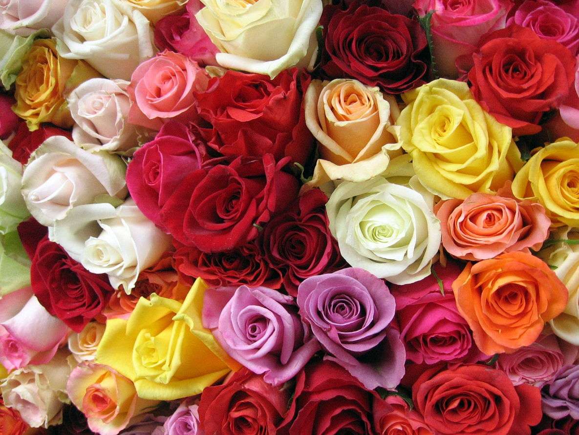 Букет от цветни рози онлайн пъзел