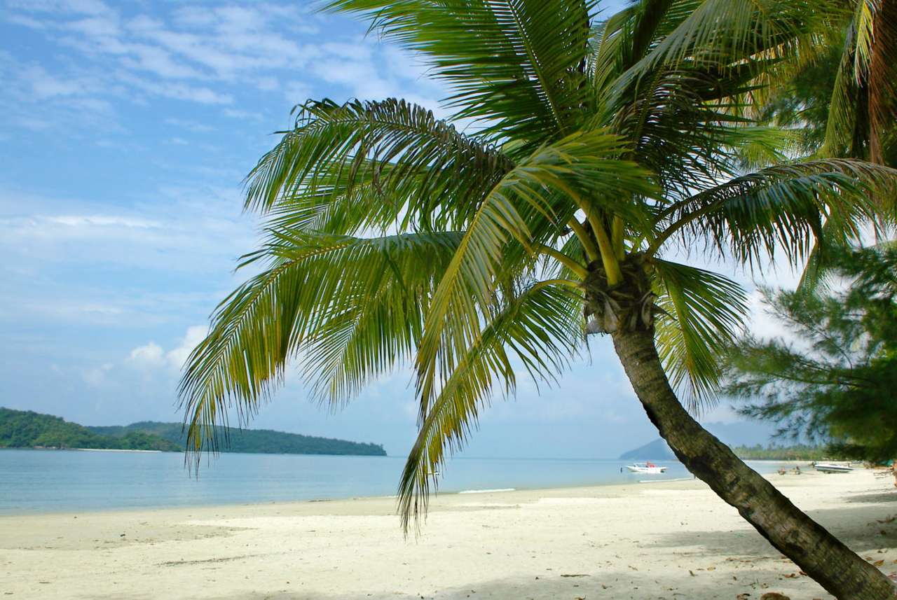Île tropicale puzzle en ligne à partir d'une photo