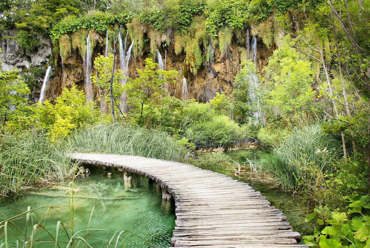 Ponte para pedestres de madeira no parque Plitvice (Croácia) puzzle online a partir de fotografia