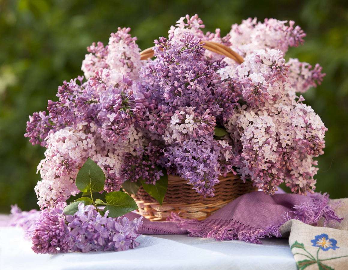 Lilac bouquet puzzle online from photo