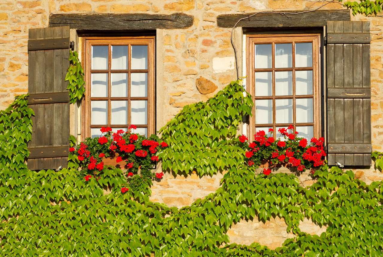 Virginia creeper in Burgundy (France) puzzle online from photo