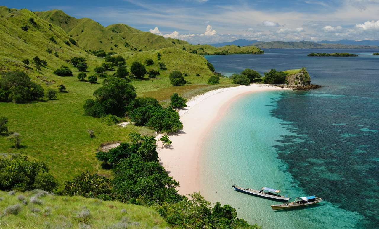 Ακτή του Εθνικού Πάρκου Komodo (Ινδονησία) online παζλ