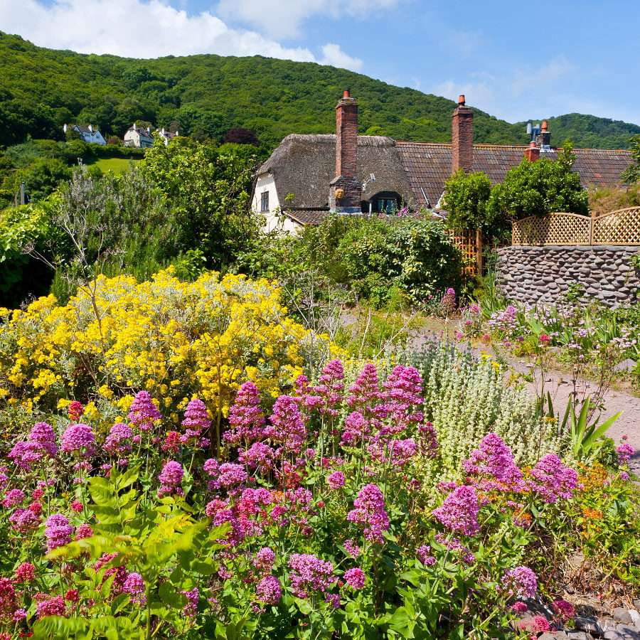 Huis tussen bloemen in Porlock Weir (Verenigd Koninkrijk) puzzel online van foto