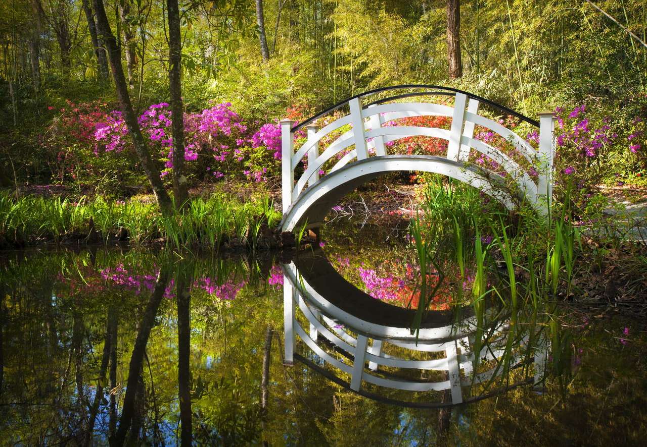 Blommande park i Charleston (USA) pussel online från foto