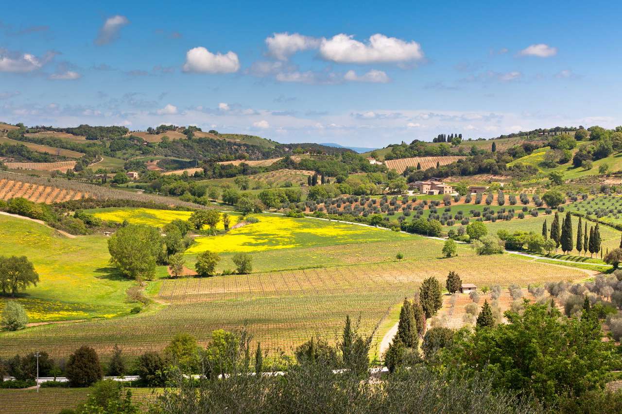 Hügel der Toskana (Italien) Online-Puzzle
