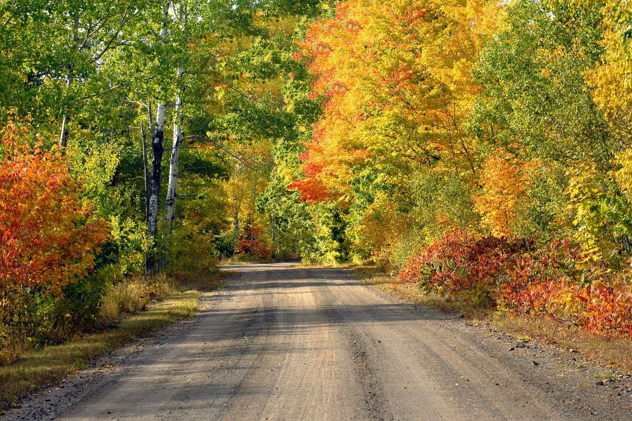 Höstens resa pussel online från foto