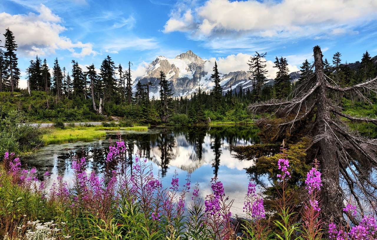 View of Mount Shuksan and Highwood Lake (USA) puzzle online from photo