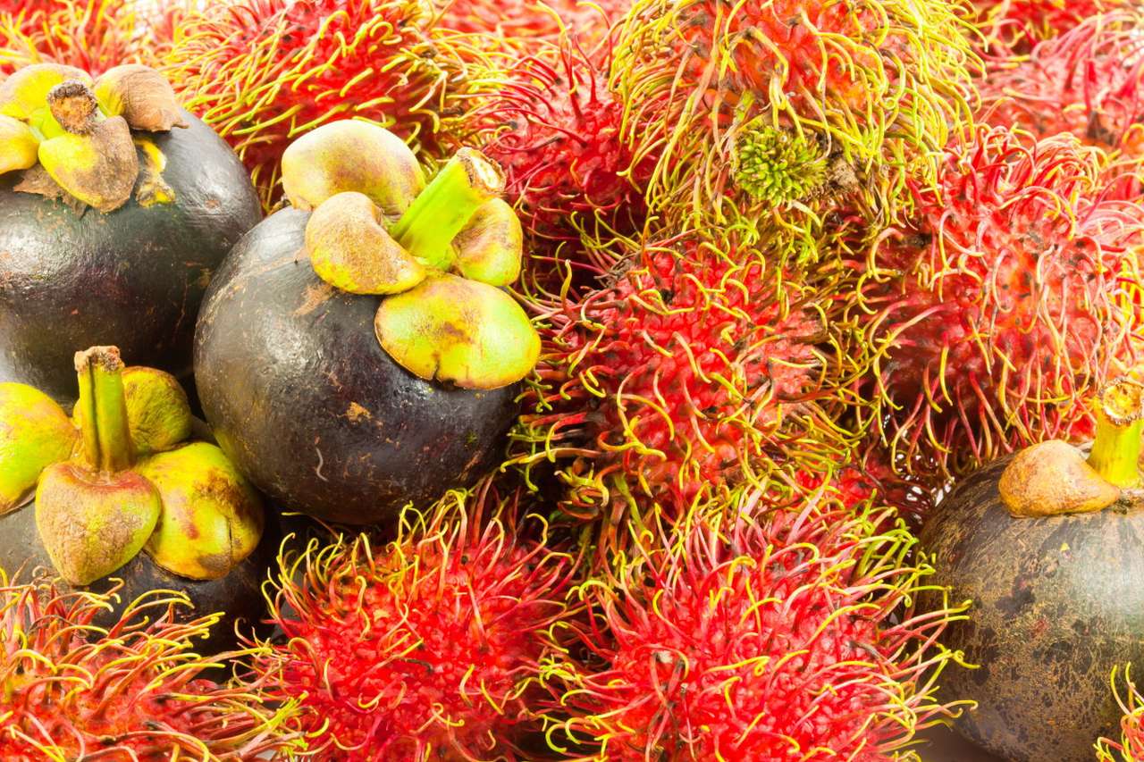 Rambutan och mangostan Pussel online