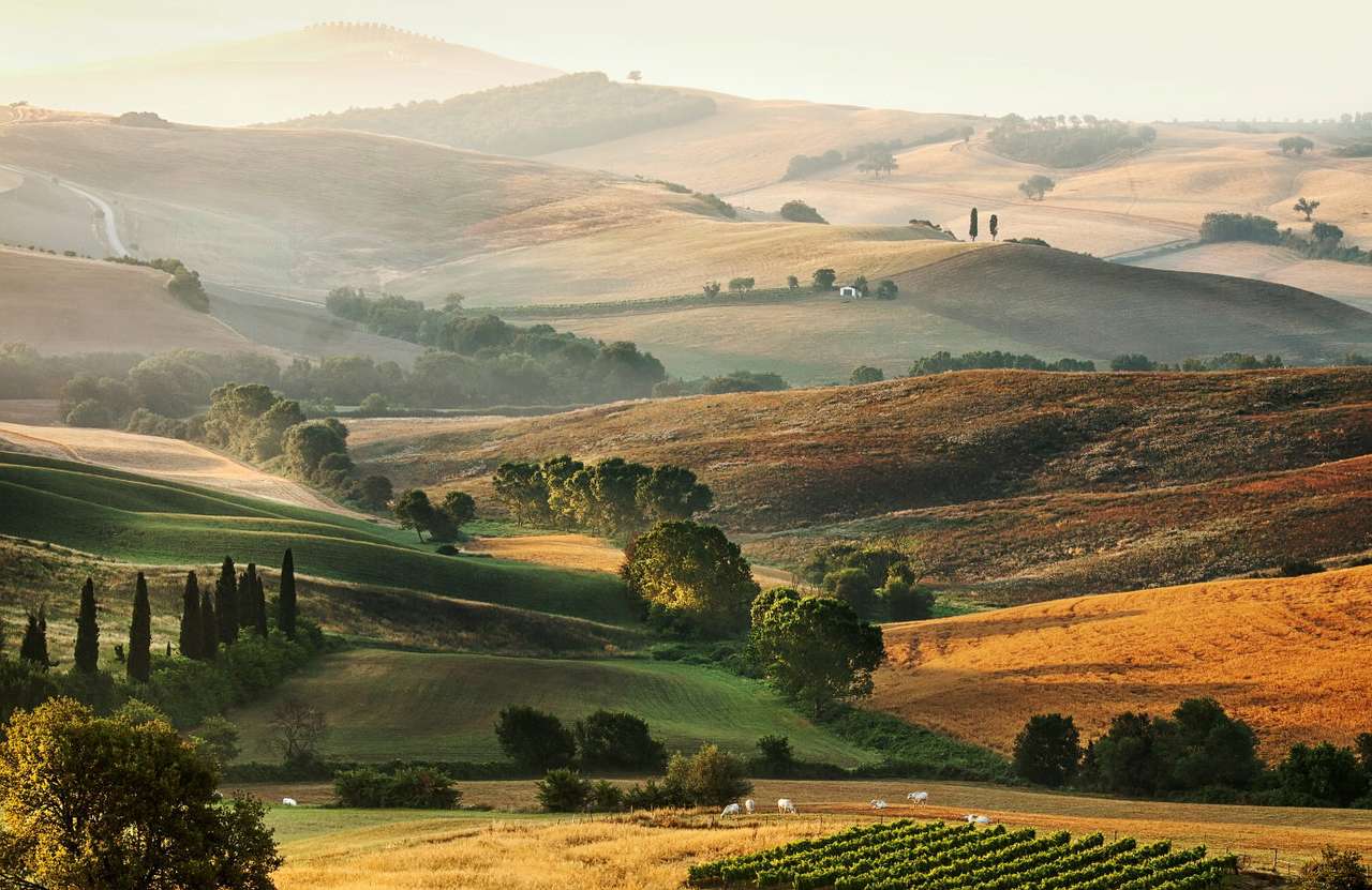 Селски пейзаж на Тоскана (Италия) онлайн пъзел от снимка