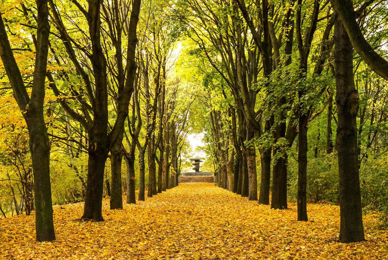 Πάρκο δρομάκι το φθινόπωρο παζλ online από φωτογραφία