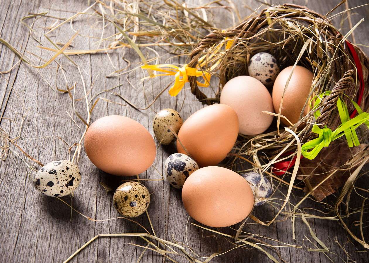 Eggs on straw in a basket puzzle online from photo