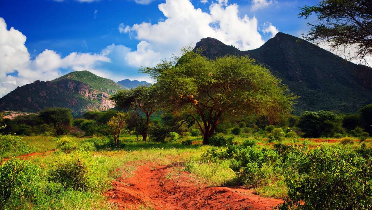 Carretera en el Parque Nacional Tsavo West (Kenia) puzzle online a partir de foto