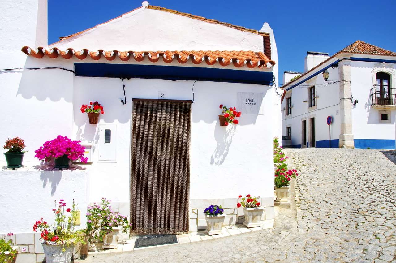 Gata i staden Terena (Portugal) pussel online från foto