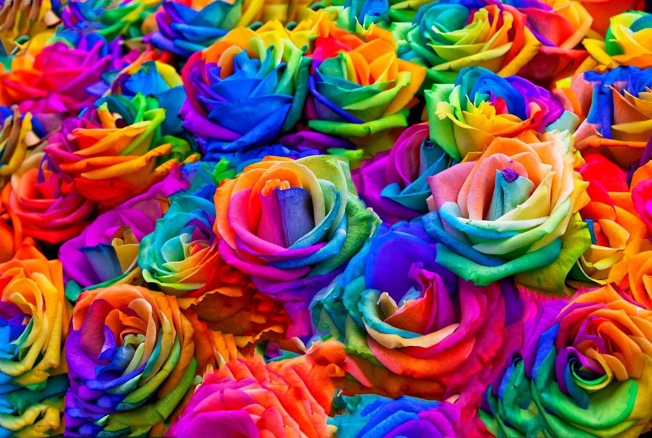 Composition of rainbow-colored roses puzzle online from photo