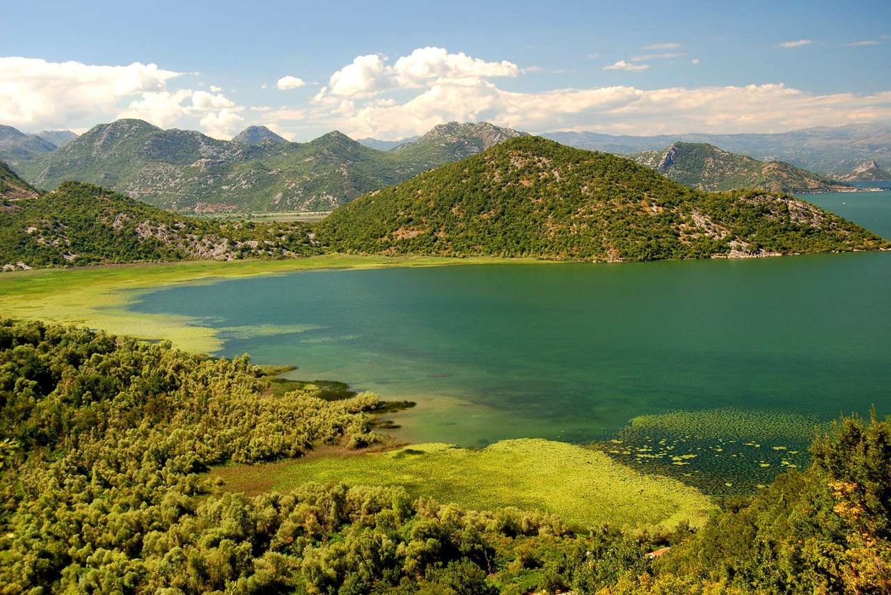 Lago di Scutari (Montenegro) puzzle online da foto